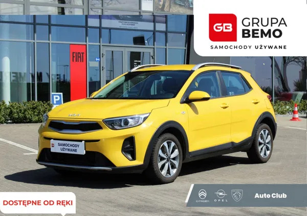 kia Kia Stonic cena 74900 przebieg: 17136, rok produkcji 2022 z Niemodlin